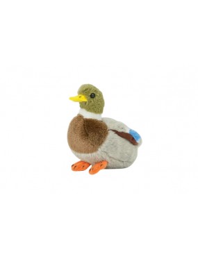 PELUCHE CANARD COLVERT PETIT MODELE 13 CM