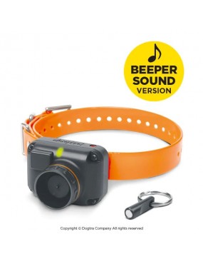 COLLIER STB BEEP-H DOGTRA