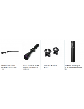 PACK CARABINE BENELLI LUPO 243 WIN + LUNETTE BURRIS 3-12X56 RETICULE LUMINEUX + COLLIERS HAUT WEAVER + SILENCIEUX...