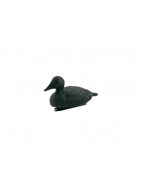 EIDER NOIR STEPLAND