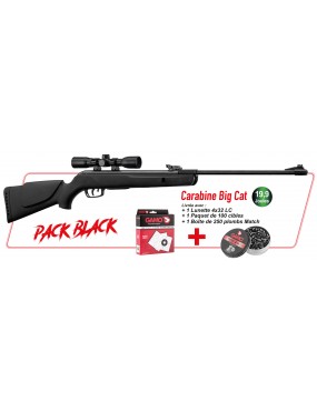 PACK GAMO BLACK 1000 19.9J CERISE 2024 CARABINE APLOMB BIG CAT 19.9J + LUNETTE 4X32 LC + CIBLES + PLOMBS